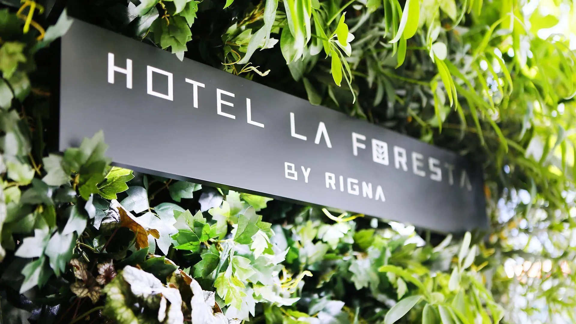 **  Hotel La Foresta By Rigna Fukuoka  Japan
